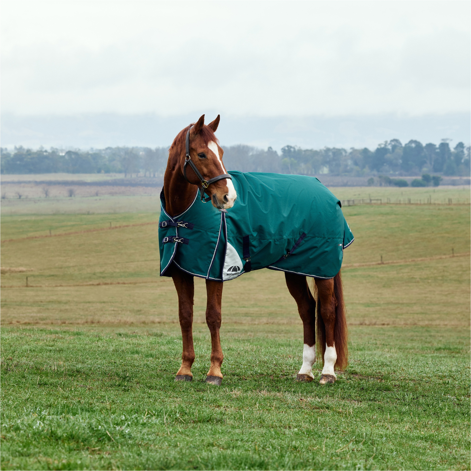 2025 Weatherbeeta Comfitec Plus Dynamic Turnout High Neck 1029006 - Forest Green